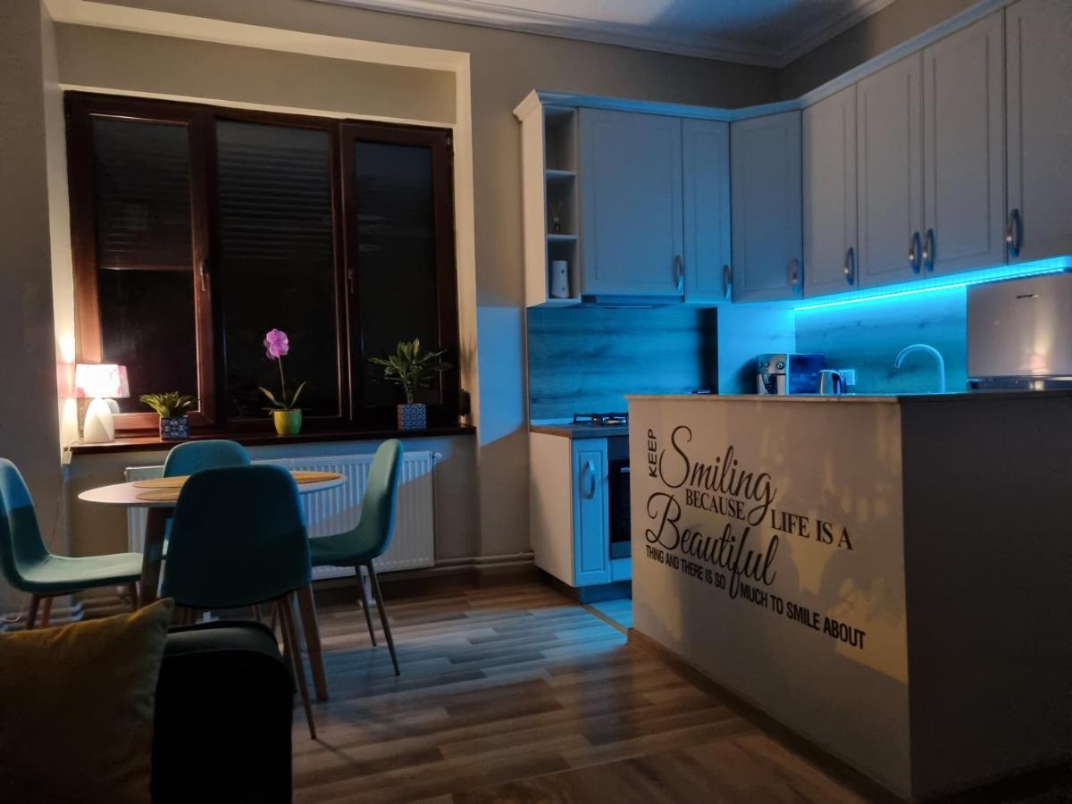 City Inn Premium Apartment 2 Timişoara Eksteriør billede